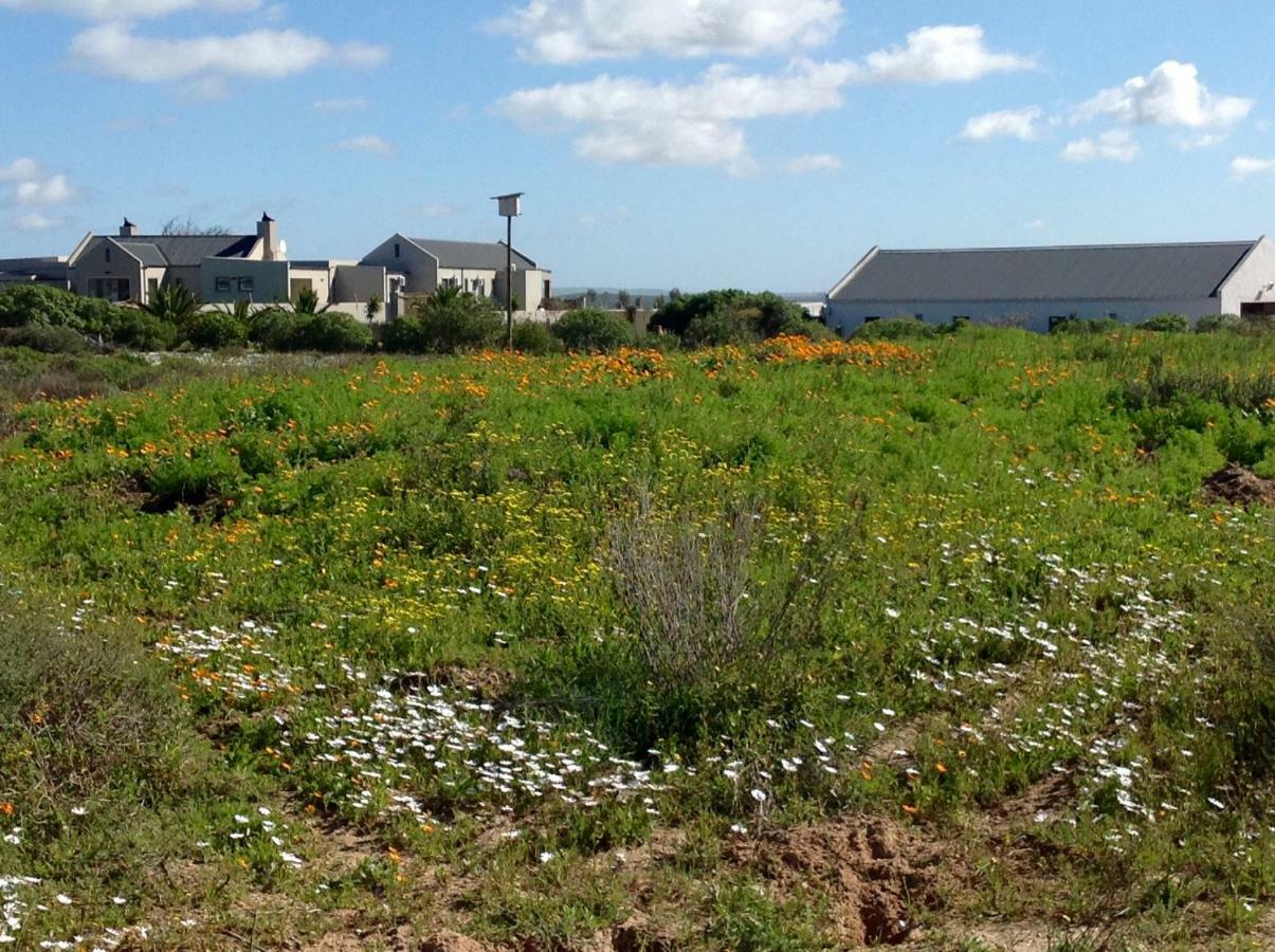 Camelot * Langebaan